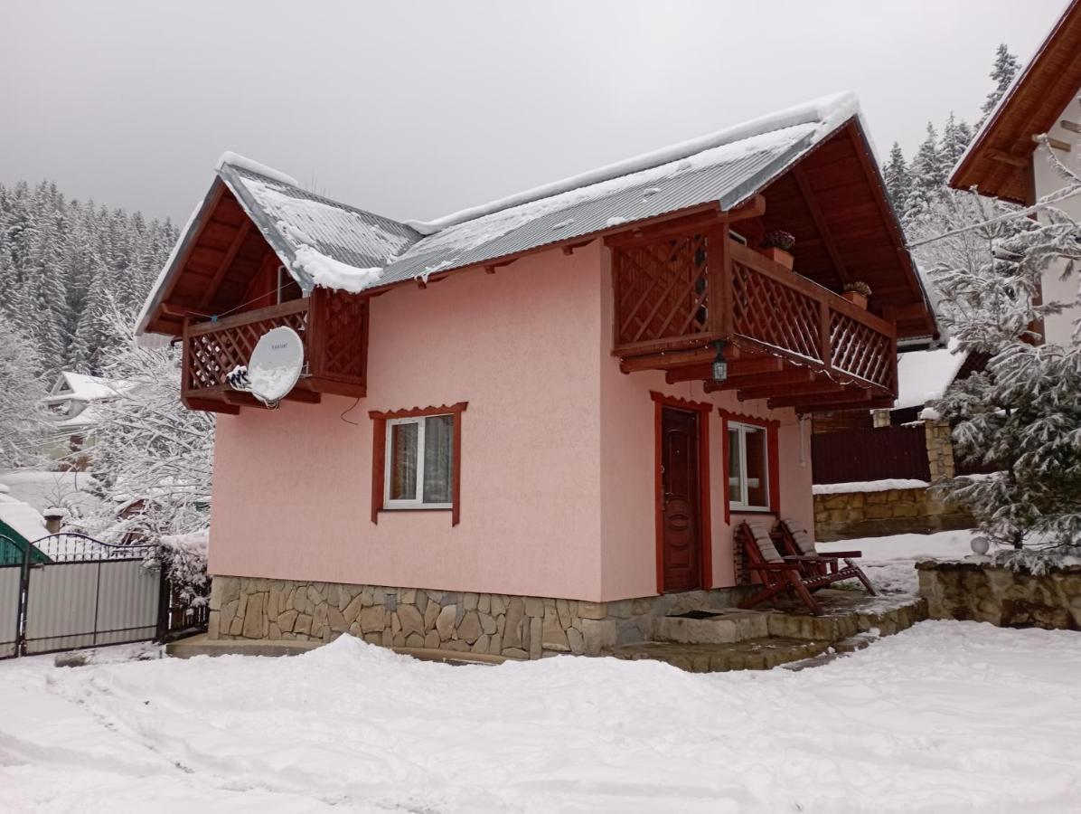 Holiday Home Melodiya Karpat 야렘체 외부 사진